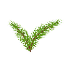 spruce branches check mark