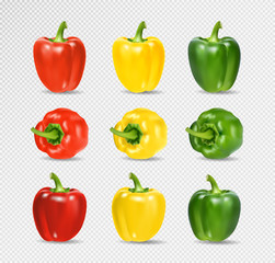 Vector Set of Colored Yellow Green and Red Sweet Bulgarian Bell Peppers, Paprika Isolated on Transparent Background