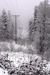 Electicit&eacute; en hiver