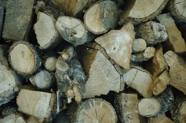 Stacked wooden logs where different shapes and spider webs can be seen