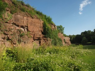 Fototapeta na wymiar Bewachsene Felsen im Hoehenpark Killesberg in Stuttgart