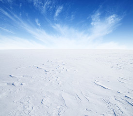  winter landscape background