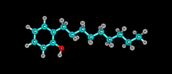 Nonylphenol molecular structure isolated on black