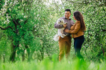 Young stylish happy couple in love playing with little white dog in blooming garden. Pretty girl and man having fun with maltese in park