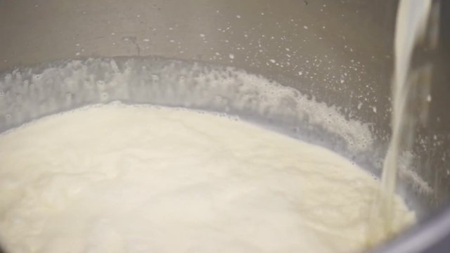 milk products. production of cheese. separator for milk. separation of sour cream from milk