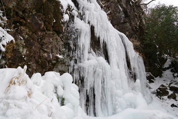 Obraz premium 河原谷の大つらら 難所ヶ滝 宇美町