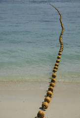 An Adaman Sea beach at ko phi phi, Krabi Provence, Thailand
