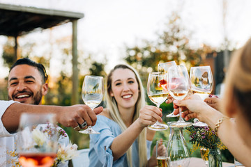 Friends toasting wine and having fun at party
