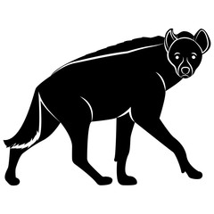 Vector, flat image of a hyena on an isolated white background
