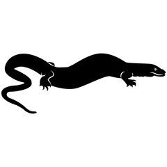 Vector image of the silhouette of the lizard of the Komodo Varanas on a white background
