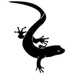 Vector image of silhouette of a lizard on a isolated white background