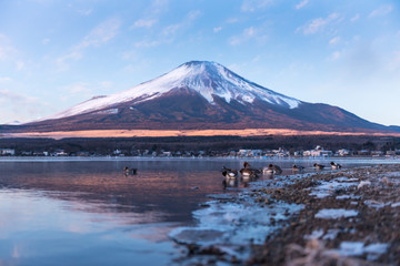 Naklejka na ściany i meble Mt.Fuji at lake yamanaka 