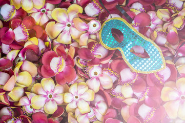 Colorful Carnival mask rests on a bed of exotic tropical cannonball flowers in Rio de Janeiro, Brazil