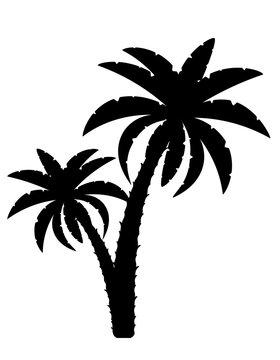 palm tree black outline silhouette stock vector illustration