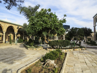 Fototapeta na wymiar Acre or Akko, Israel - The garden and the inner yard of the el-Jazzar Mosque, also known as the White Mosque, is located on el-Jazzar Street inside the walls of the old city of Acre.