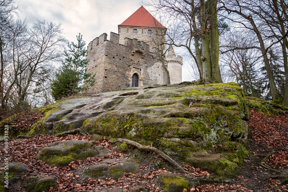 Wall mural Castle Kokorin