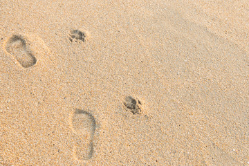 Fototapeta na wymiar Human and dog footprint on the sand beach