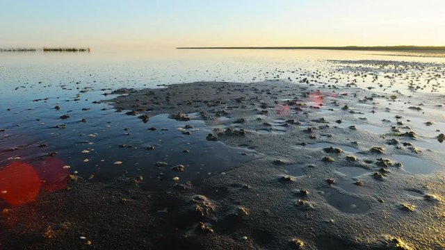 tidal wave at intertidal mud flat with lugworm (sandworm) castings TIMELAPSE