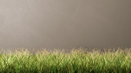 Obraz na płótnie Canvas Grass Meadow Against Grey Wall