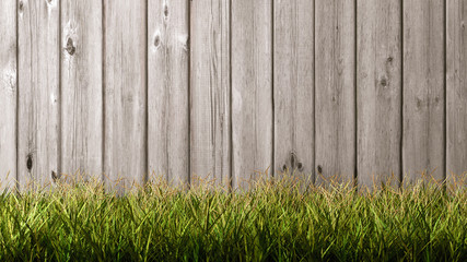 Grass Meadow with Wooden Backdrop