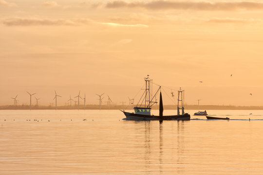 Sunset over Dutch sea with fishing ship returning to harbor and windturbines at the horizon