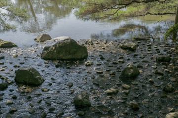 Fototapeta na wymiar Background with rocks in Japanese pond in Kyoto, Japan