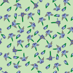 Blueflag iris hand drawn pattern on green - 188935476
