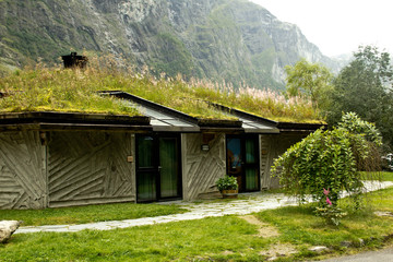 Fishermen's houses with green grass on roof