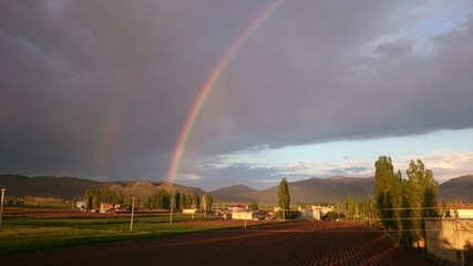  rainbow in the village