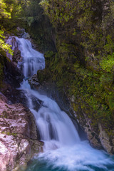 Fototapeta premium Waterfall in milford sound, New Zealand