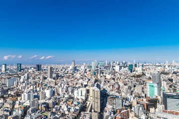 Fototapeta premium 東京 青空と都市風景