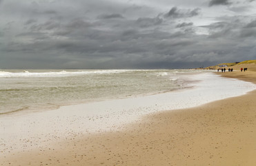 stormy coastal beach scenery