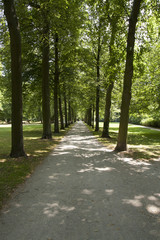 Allee