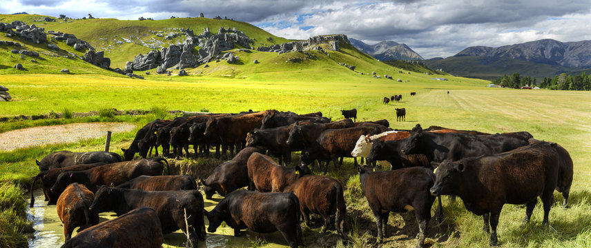 Castle Hill, Arthur's Pass National Park