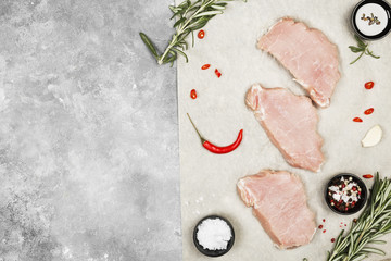 Raw meat with various spices on a gray background. Top view, copy space. Food background