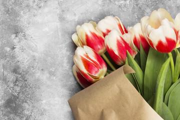 Bouquet of white pink tulips on a gray background. Top view, copy space