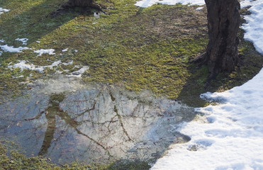 冬　雪　水たまり　反射　素材