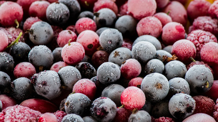 frozen berries, black currant, red currant, raspberry, blueberry