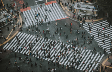 Mass of people crossing the street in Tokyo