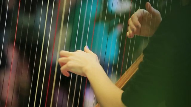 symphony orchestra harp stock footage