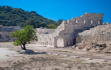 ruins of ancient Patara, mugla Province, Turkey.