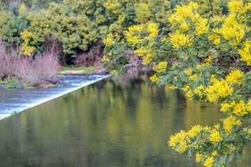 Penacova, Coimbra, Portugal