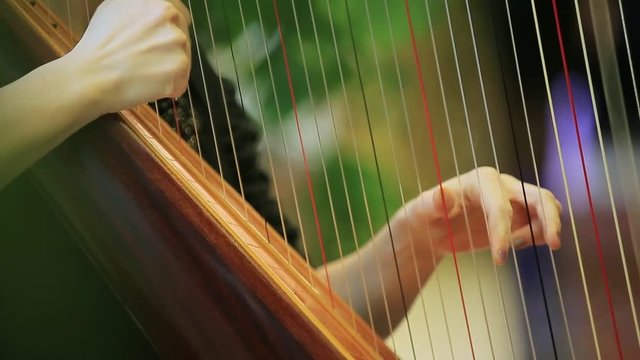 symphony orchestra harp stock footage