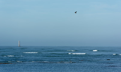 Coast of  the Re island in Charente Maritime