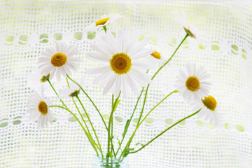 Bouquet of the chamomile