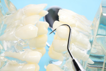 orthodontic model and dentist tool - demonstration teeth model of varities of orthodontic bracket or brace