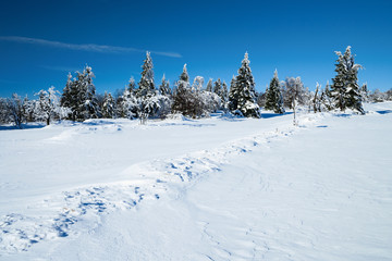 Winterlandschaft im Gebirge