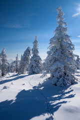 Winterlandschaft im Gebirge