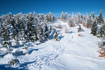 Winterlandschaft im Gebirge