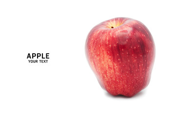 Fresh red apple isolated on white background with copy space.